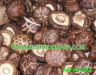 dry shiitake mushroom_Dried Shiitake Mushrooms Organic _china Dried Shiitake Mushrooms
